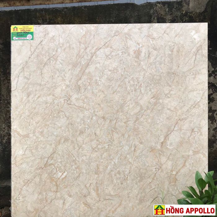 Gạch lát nền phòng khách 80x80 Hong Appollo